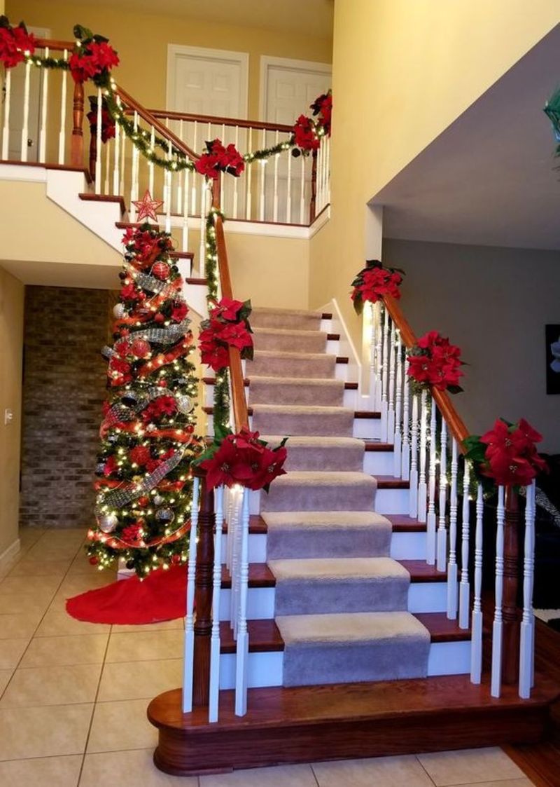 Poinsettia Display