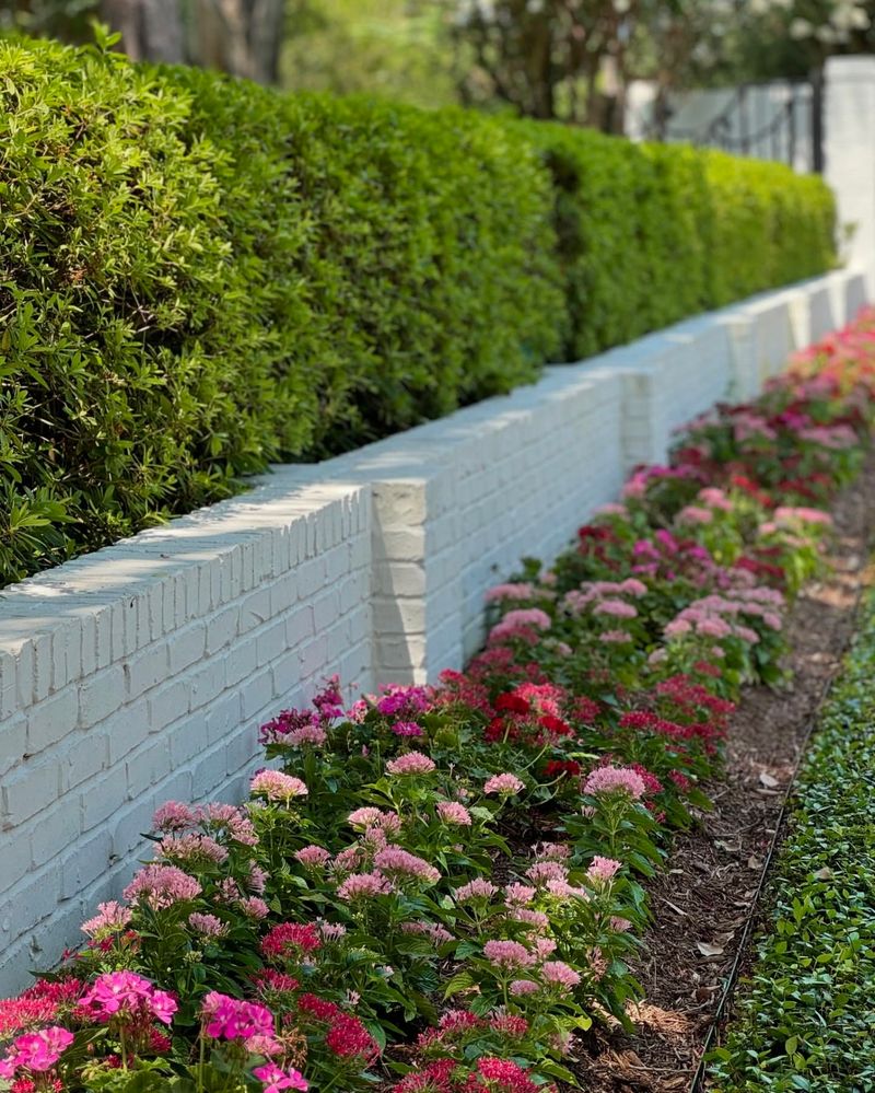 Privacy Hedges