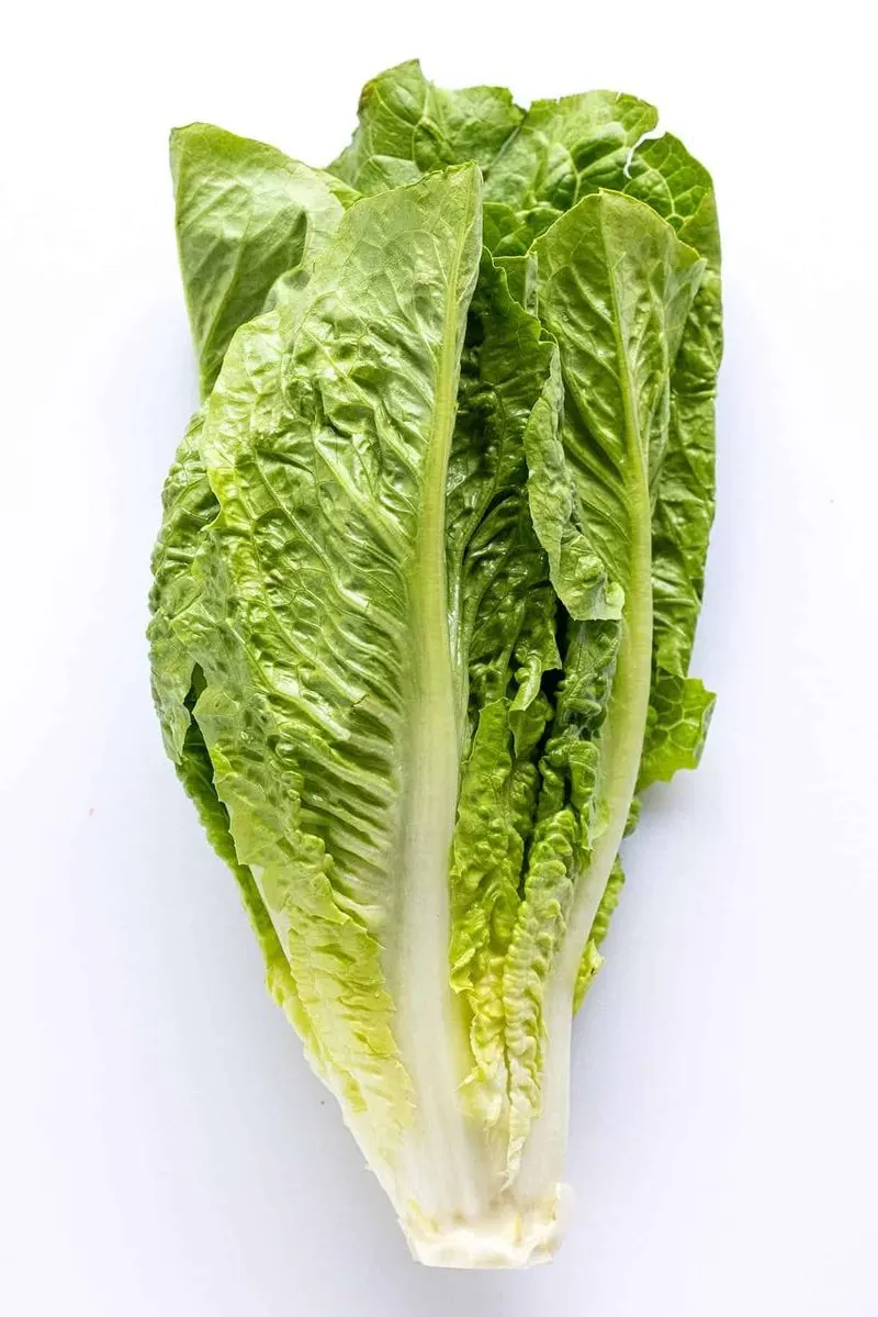 Romaine Lettuce