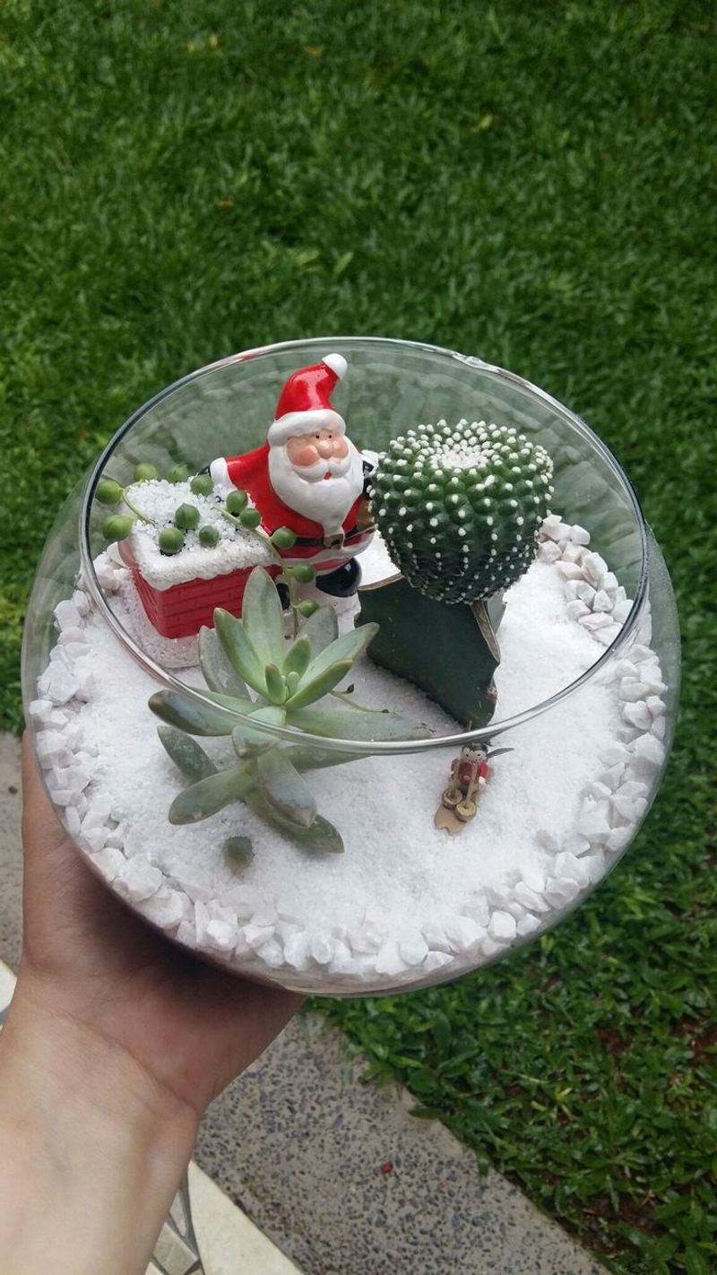 Santa's Succulent Forest