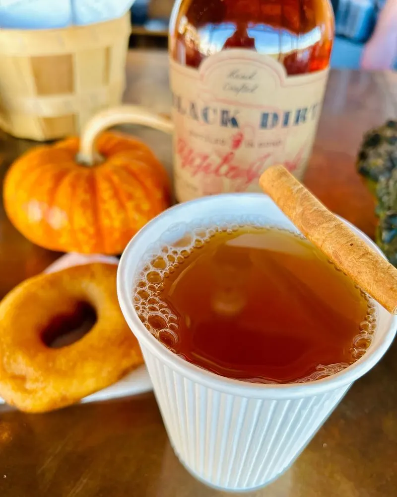 Spiced Apple Cider