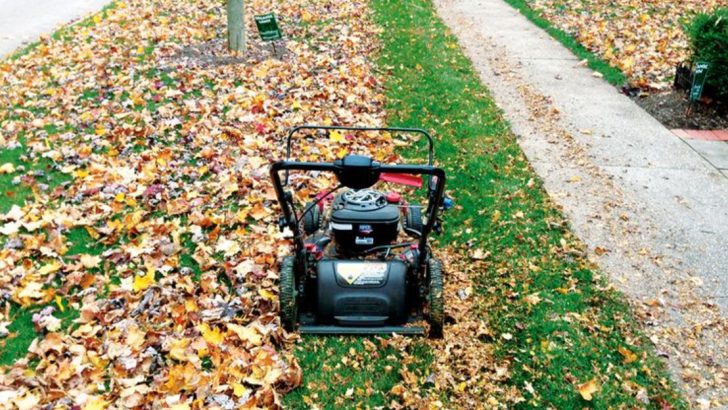 7 Surprising Ways to Use a Lawn Mower That Go Beyond Cutting Grass