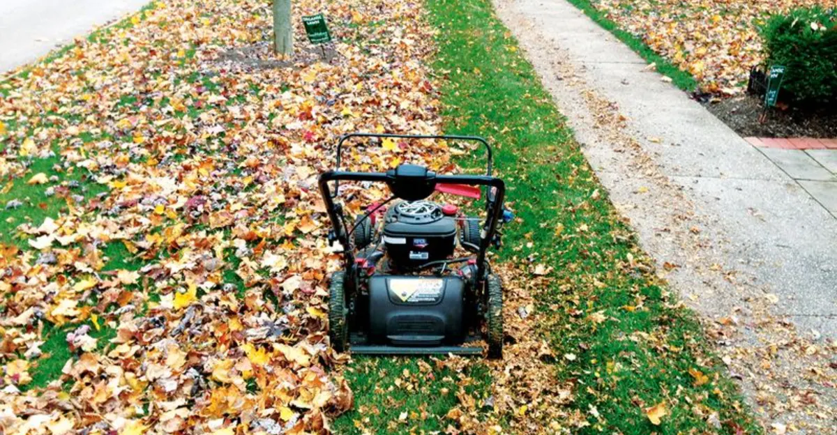 Surprising Ways to Use a Lawn Mower That Go Beyond Cutting Grass