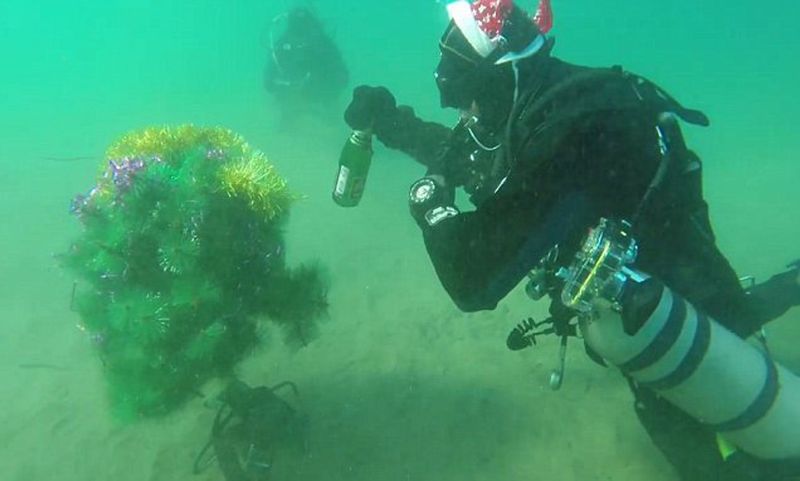 Underwater Tree Planting in Siberia