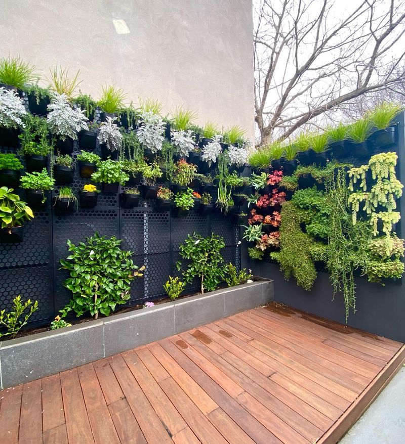 Vertical Gardens