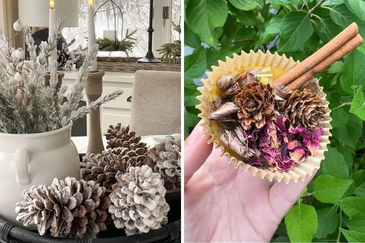 Ways to Use Pinecones in Your Winter Garden and Decor