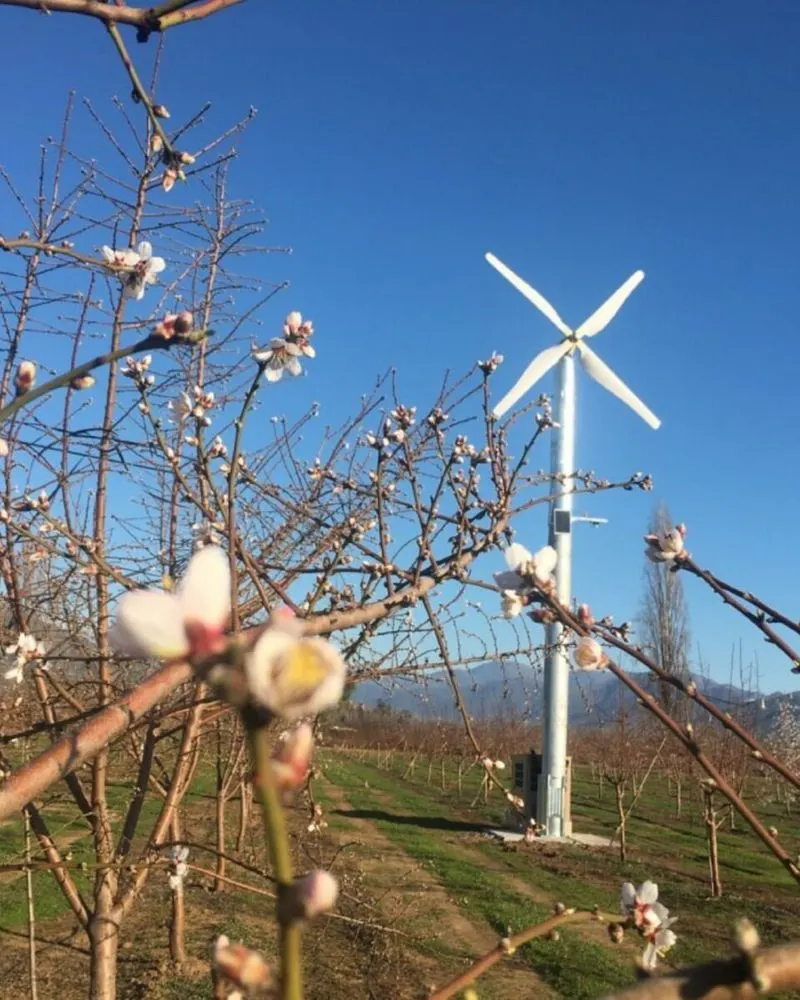 Wind Machines