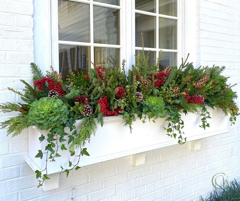 Window Boxes