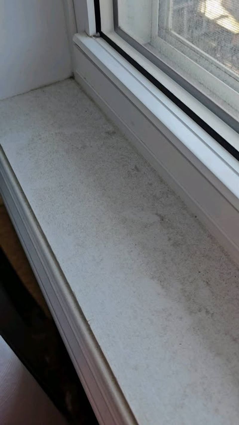 Window Sills and Blinds