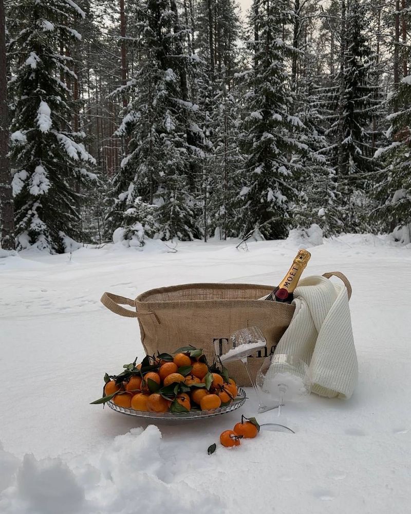 Winter Picnic