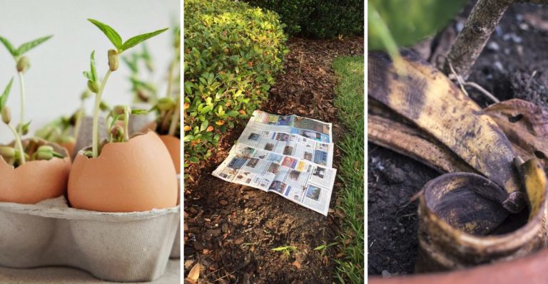 10 Clever Garden Hacks That Won’t Cost You a Thing