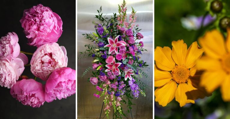 10 Companion Plants That Look Beautiful With Pink Lilies