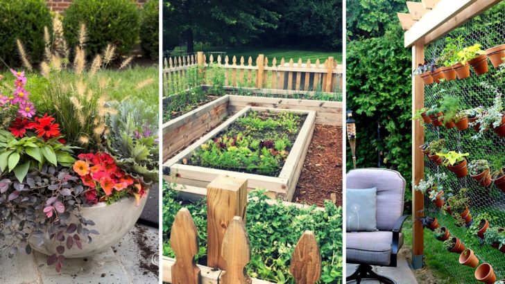 10 Easy Landscaping Ideas for First-Time Homeowners