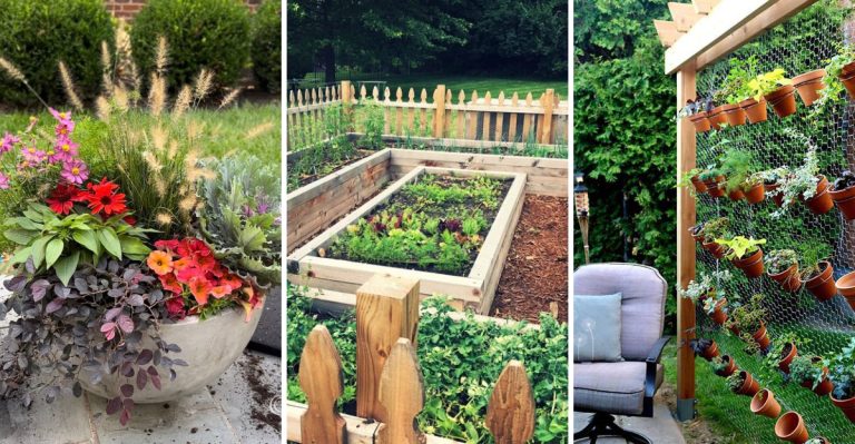 10 Easy Landscaping Ideas for First-Time Homeowners