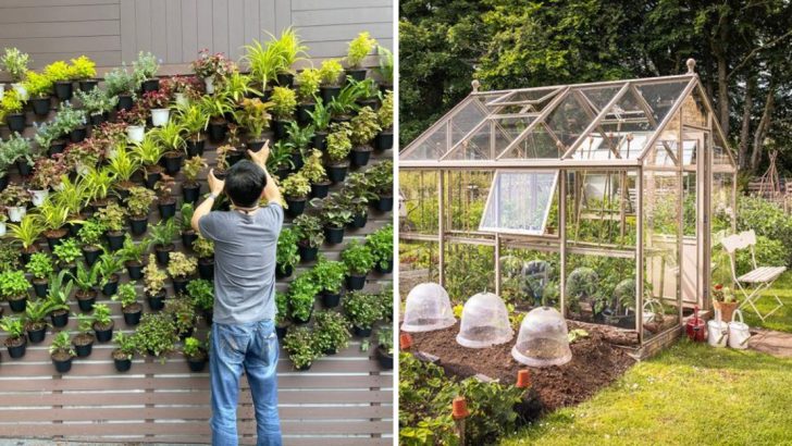 10 Exciting Garden Trends in 2025 You’ll Want to Try