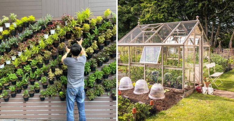 10 Exciting Garden Trends in 2025 You’ll Want to Try