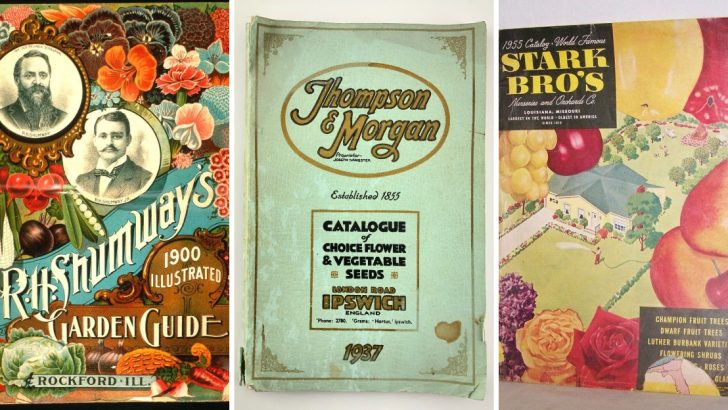 10 Gardening Catalogs from the Past That We Loved Browsing Through