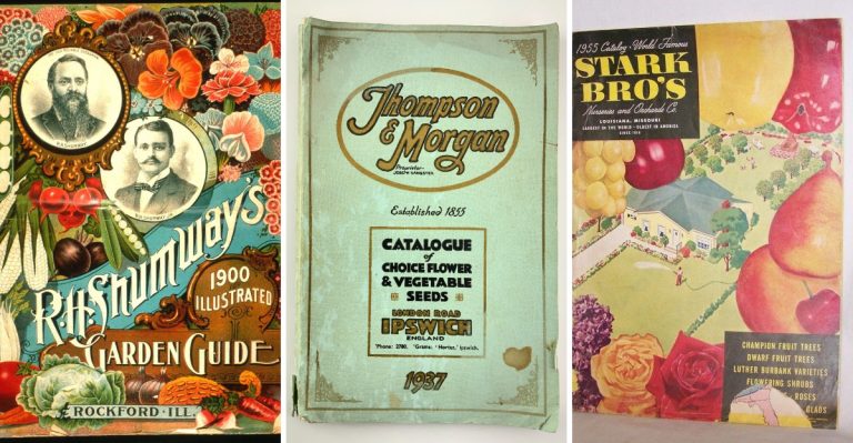 10 Gardening Catalogs from the Past That We Loved Browsing Through