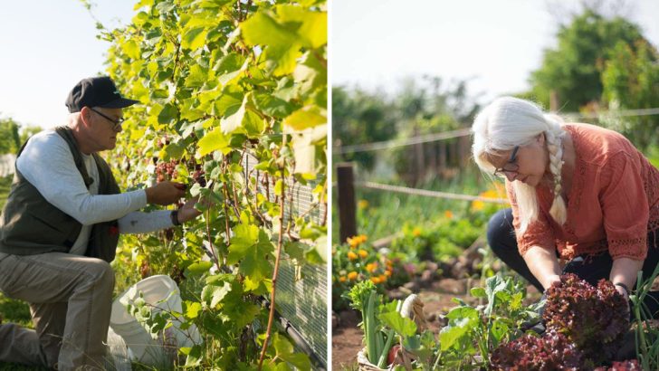 10 Lessons About Gardening We Learned from Our Grandparents