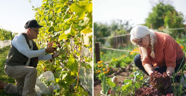 10 Lessons About Gardening We Learned from Our Grandparents