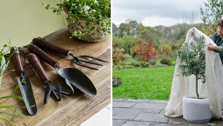 10 Must-Do Tasks on Your January Gardening Checklist