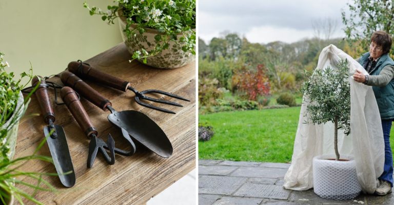10 Must-Do Tasks on Your January Gardening Checklist