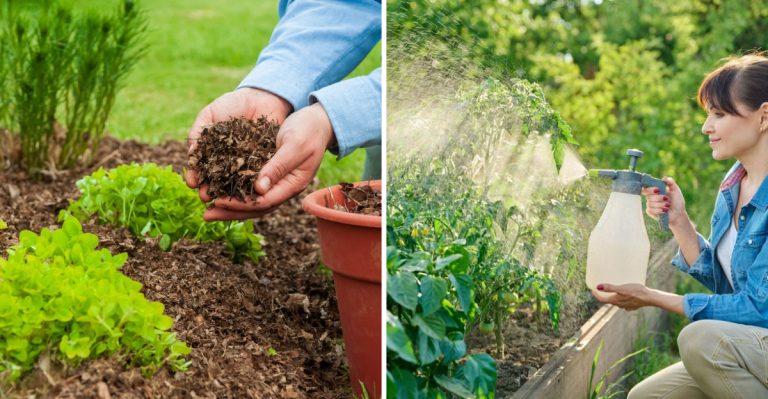 10 Old-School Gardening Tips from the Past That Actually Work