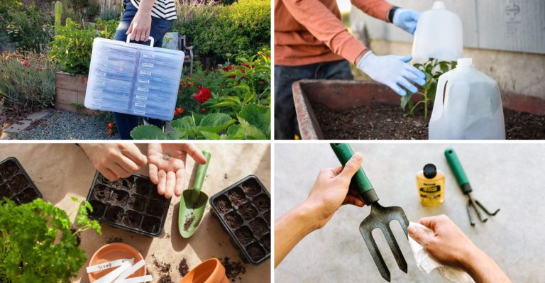 10 Steps to Prepare Your Garden for Spring – What You Must Do This January