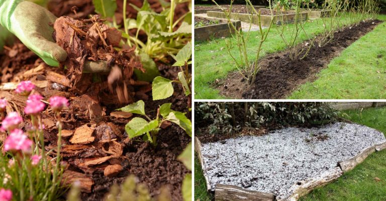 10 Ways to Winterize Your Garden Before the Next Storm Hits