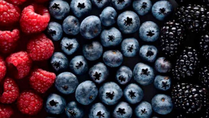 11 Berry Facts That Prove These Tiny Fruits Are Greater Than You Think