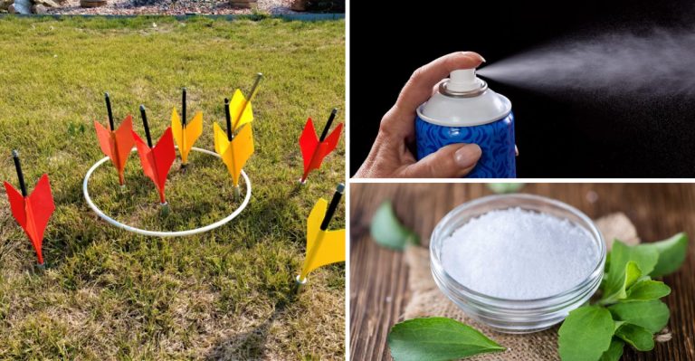 11 Everyday Things from the 1970s That Are Now Completely Banned