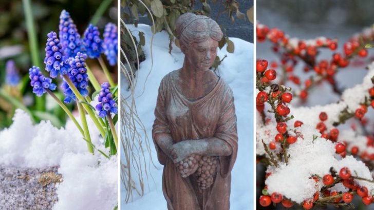 11 Winter Landscaping Ideas to Keep Your Yard Beautiful Year-Round