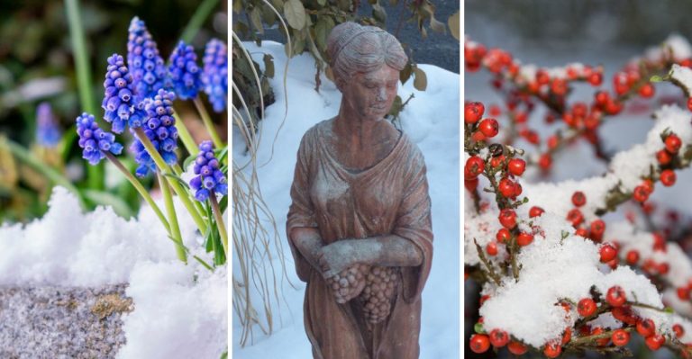 11 Winter Landscaping Ideas to Keep Your Yard Beautiful Year-Round