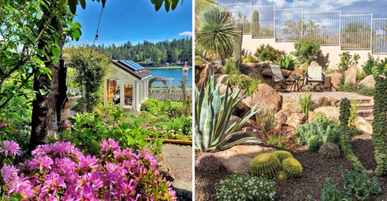 12 Fairy Garden Themes That Will Spark Your Imagination