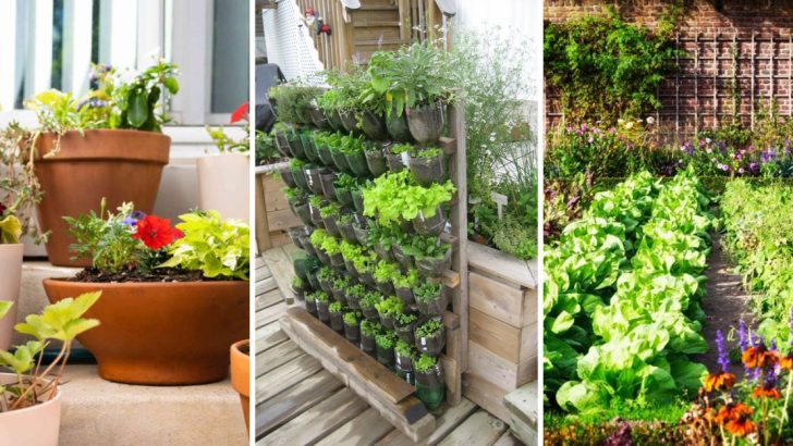 12 Gardening Trends You’re About to See Everywhere in 2025