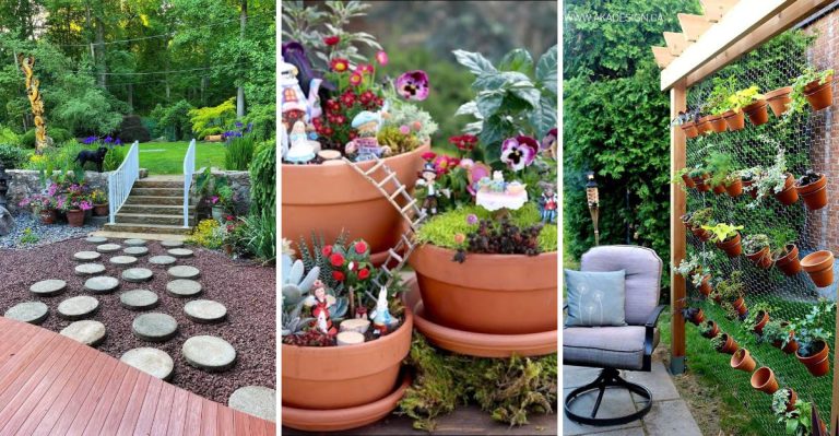 12 Inspiring Mini Garden Themes for Your Home or Backyard