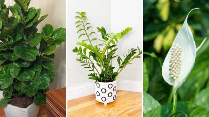 12 Popular Houseplants That Struggle to Survive Winter Indoors