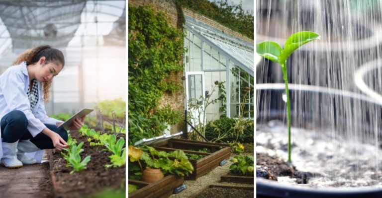 12 Secrets to Greenhouse Success That No One Tells You