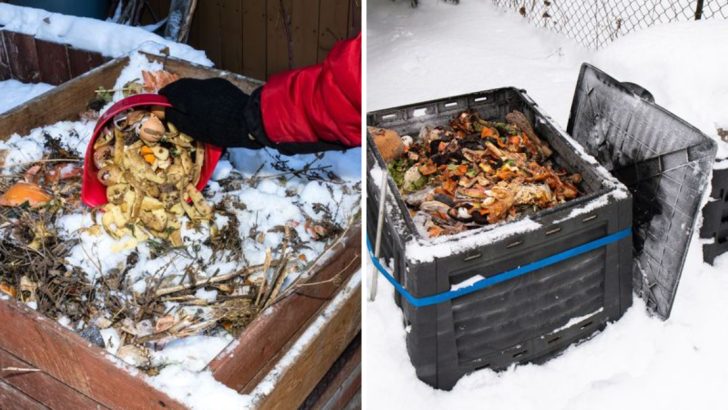 12 Winter Composting Secrets That Guarantee Rich Soil for Spring