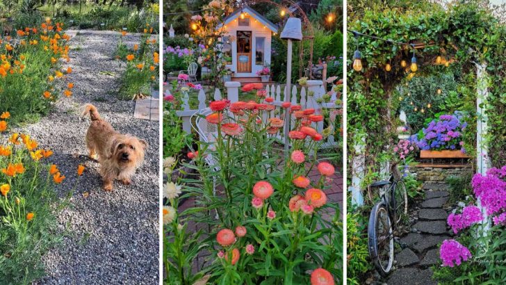 14 Beautiful Wildflower Garden Ideas to Transform Your Yard