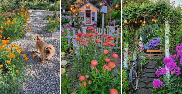 14 Beautiful Wildflower Garden Ideas to Transform Your Yard