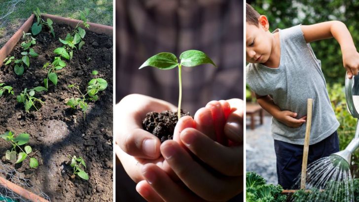 14 Life Lessons I Learned From Helping Grandma in Her Garden