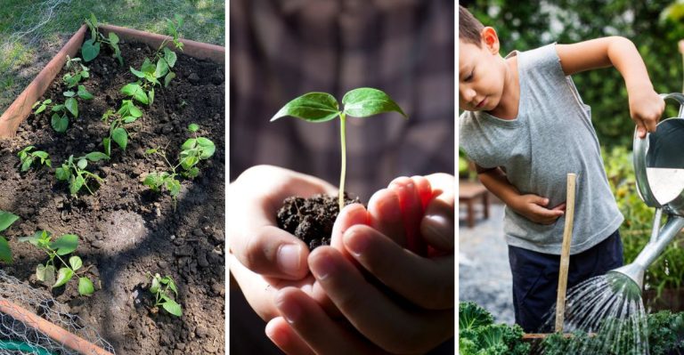 14 Life Lessons I Learned From Helping Grandma in Her Garden