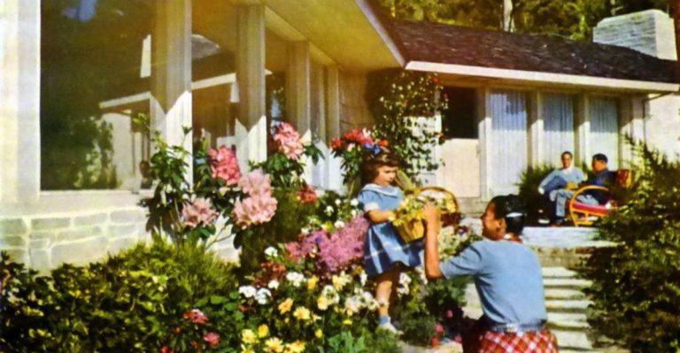 18 Iconic Plants That Defined 1950s Garden Trends