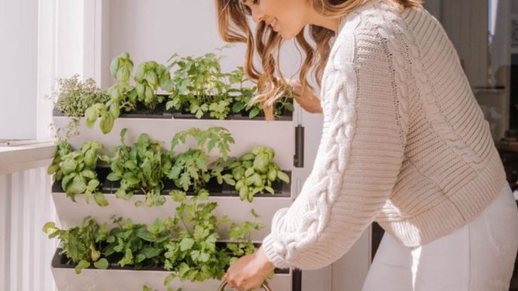 18 Vegetables That Make Vertical Gardening Fun and Rewarding