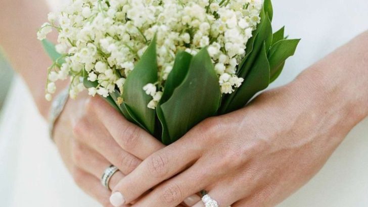 19 Most Popular Plants Used in Old-Fashioned Wedding Traditions