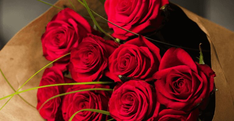 20 Flowers That Have Represented Love, Loss, and Hope Through the Ages