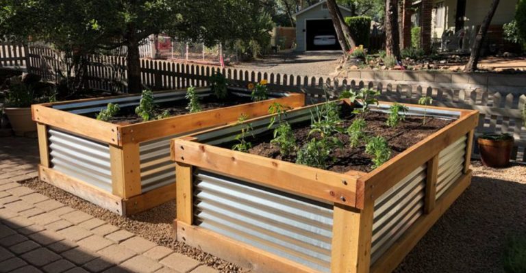 20 Lazy Gardener Secrets to Create a Lush Yard That Thrives with Minimal Effort