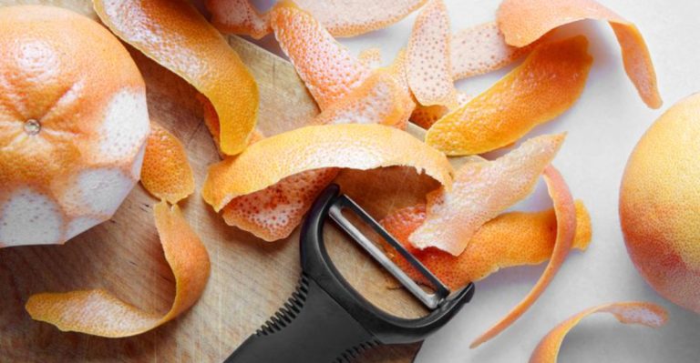 20 Things You Should Never Throw in Your Compost Bin