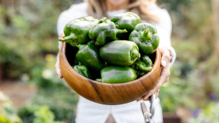 25 Superfoods You Can Easily Grow at Home for Healthier Meals